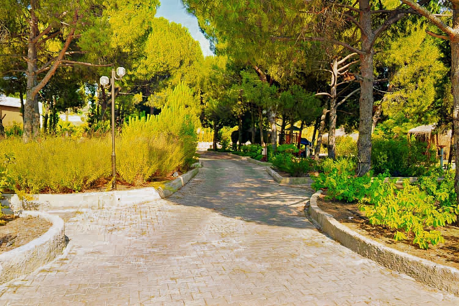 Elitium Thermal Hotel Bozkoy  Esterno foto